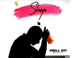 Small Boy – Shayo download