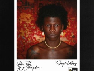 Seyi Vibez - Kingdom