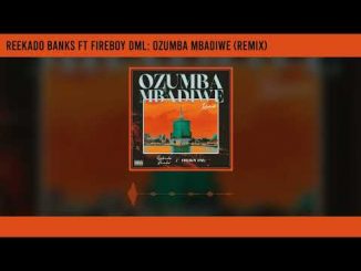 Reekado Banks ft. Fireboy DML – Ozumba Mbadiwe (Remix) download mp3