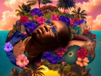 Ajebutter 22 ft. LadiPoe - Soft Life mp3 download