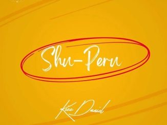 Kizz Daniel - "Shu-Peru"